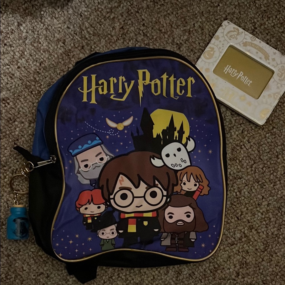 Harry Potter Small Backpack, Light Up Keychain, and Hogwarts Picture Frame